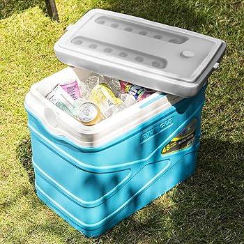 Pinnacle 10 Liter Insulated Cooler Lunch Box -Portable Camping